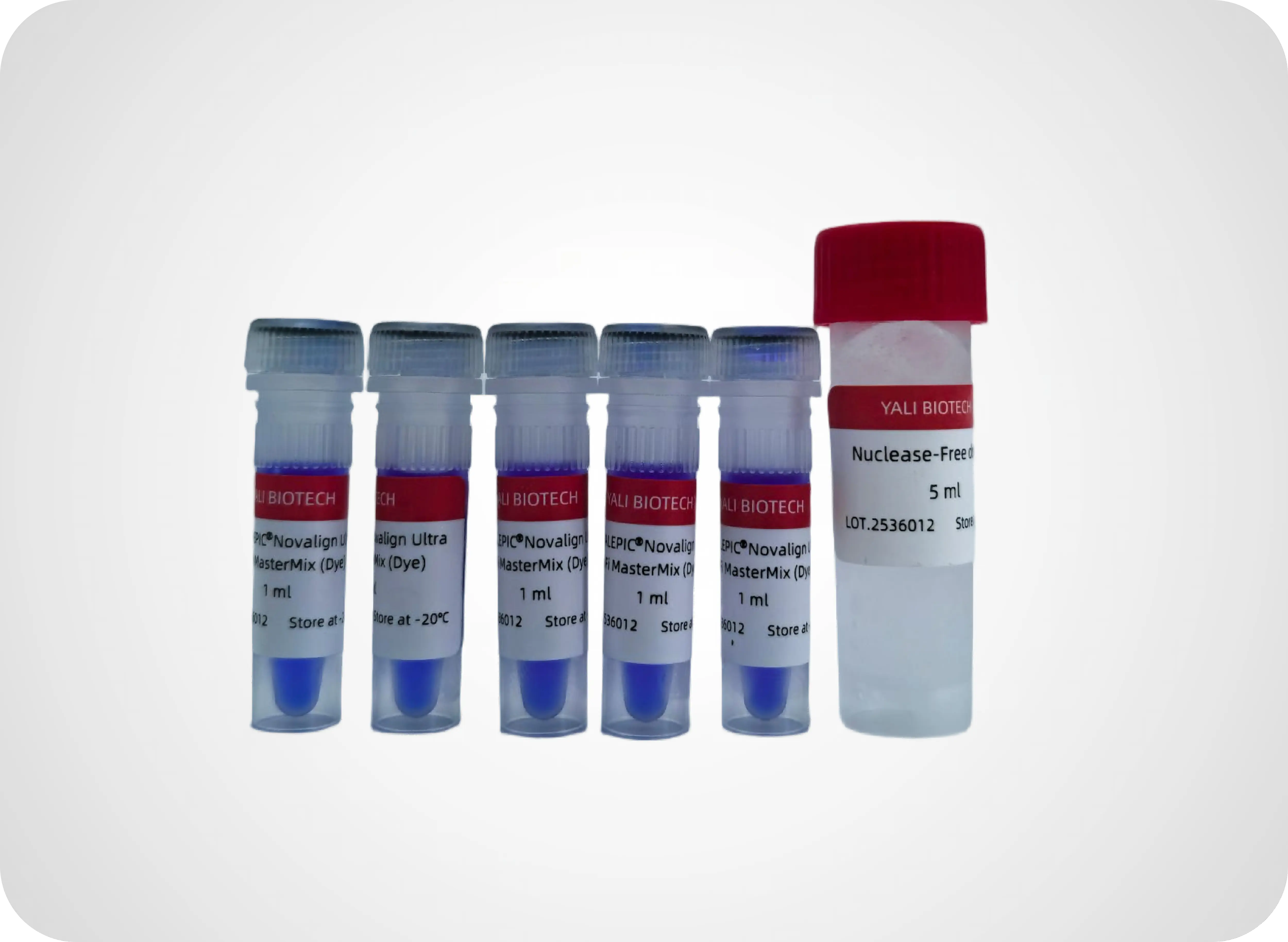 YALEPIC<sup>®</sup> Pfu High-Fidelity PCR Master Mix (with Dye)