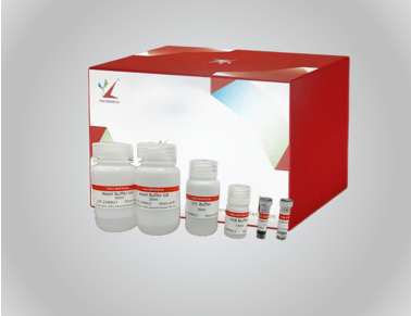 YALEPIC<sup>®</sup>MagEVO cfDNA Maxi Extraction Kit