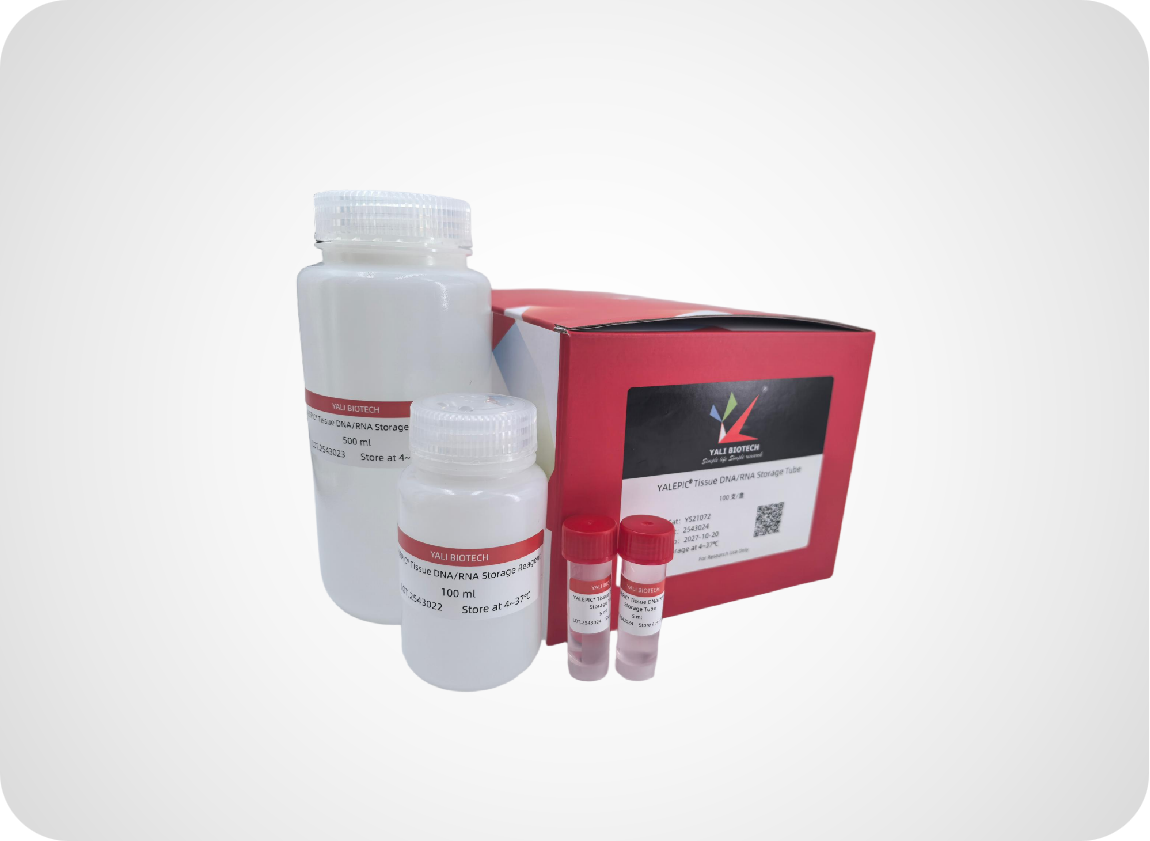 YALEPIC<sup>®</sup> Tissue DNA/RNA Storage Reagent