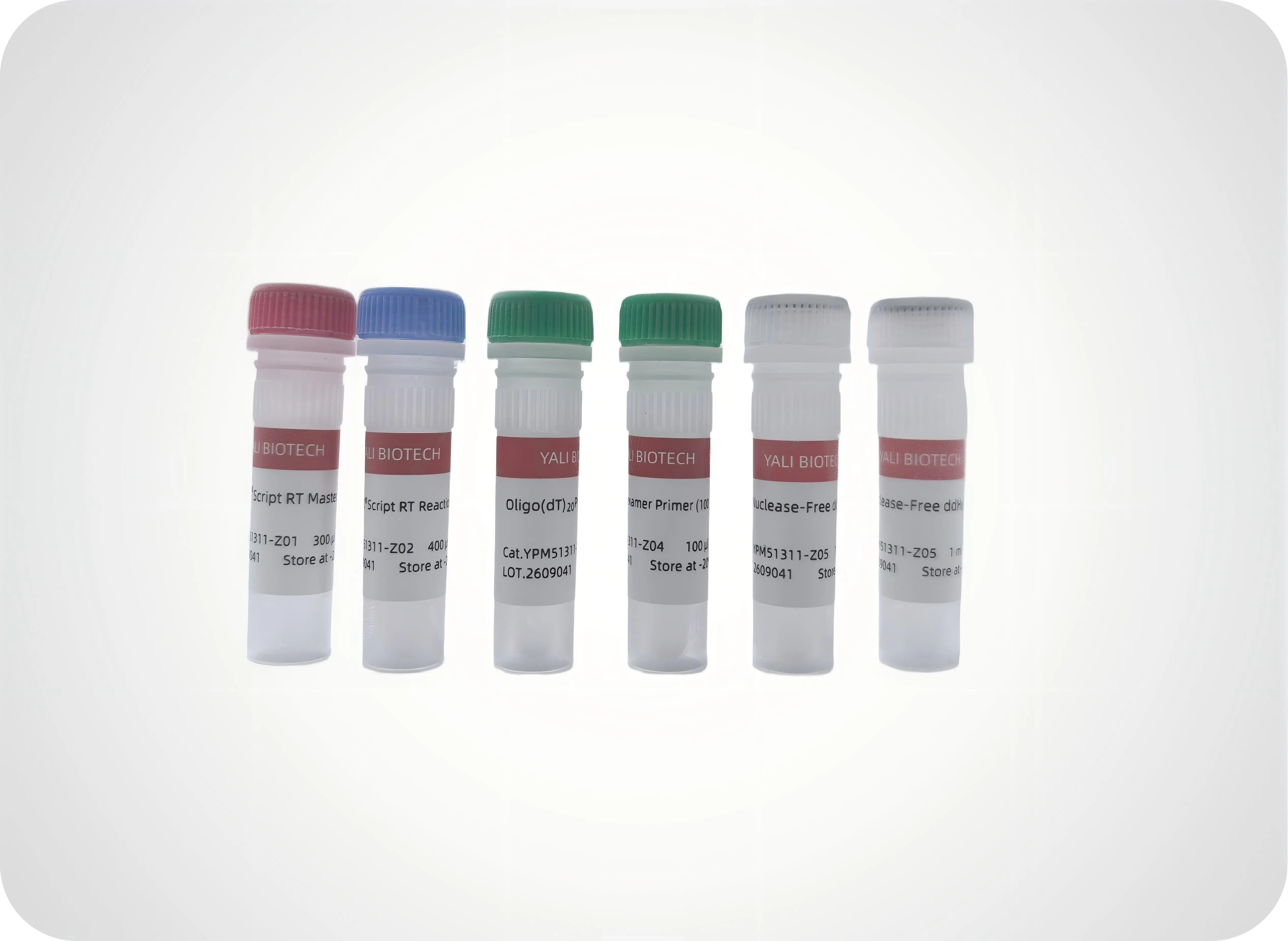 YPM51311 YALEPIC One-Step gDNA Off and 1st Strand cDNA Synthesis Kit
