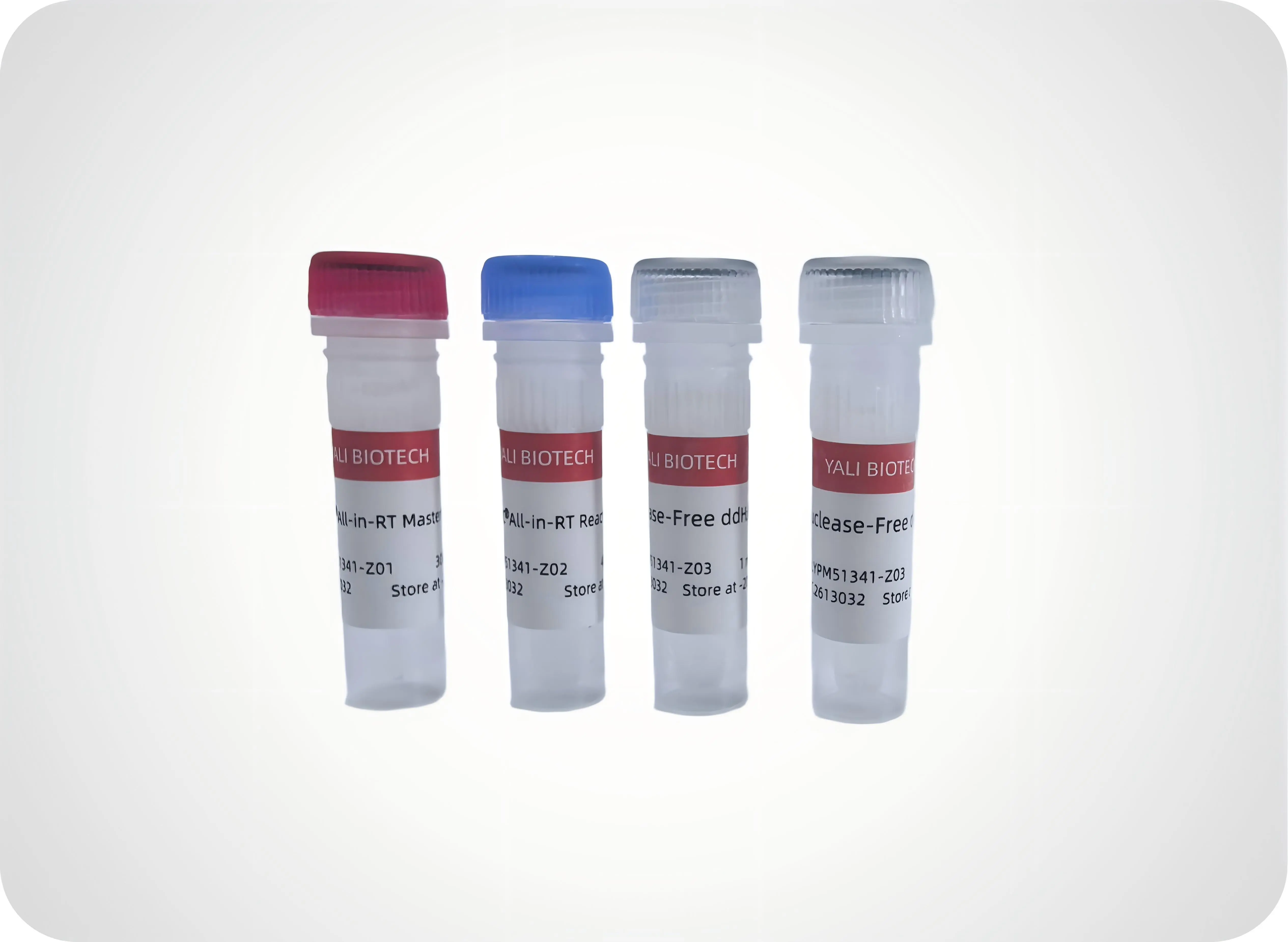 YPM51341 YALEPIC All-in-RT MasterMix for qPCR (gDNA off)