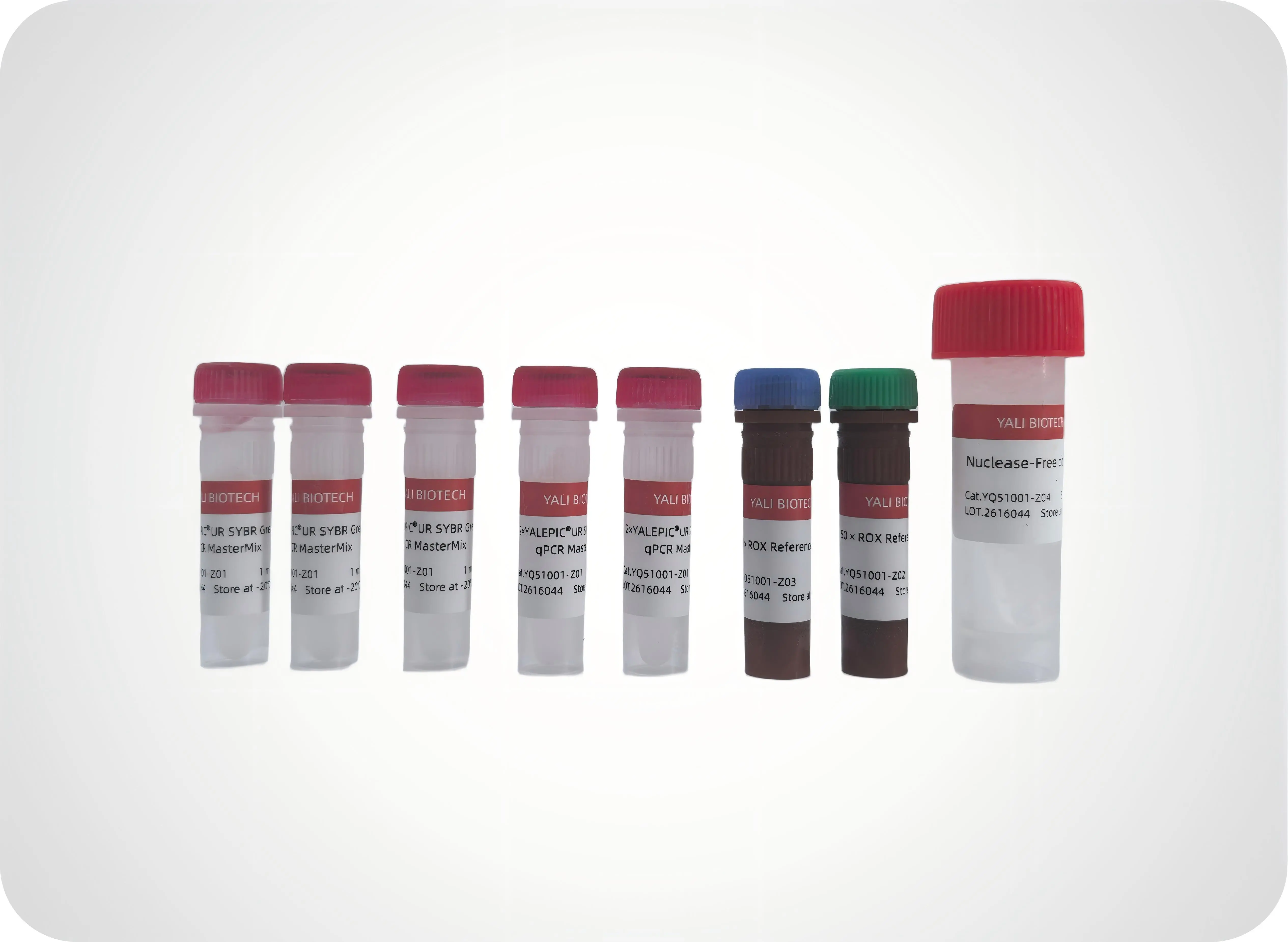 YALEPIC UR SYBR Green qPCR MasterMix