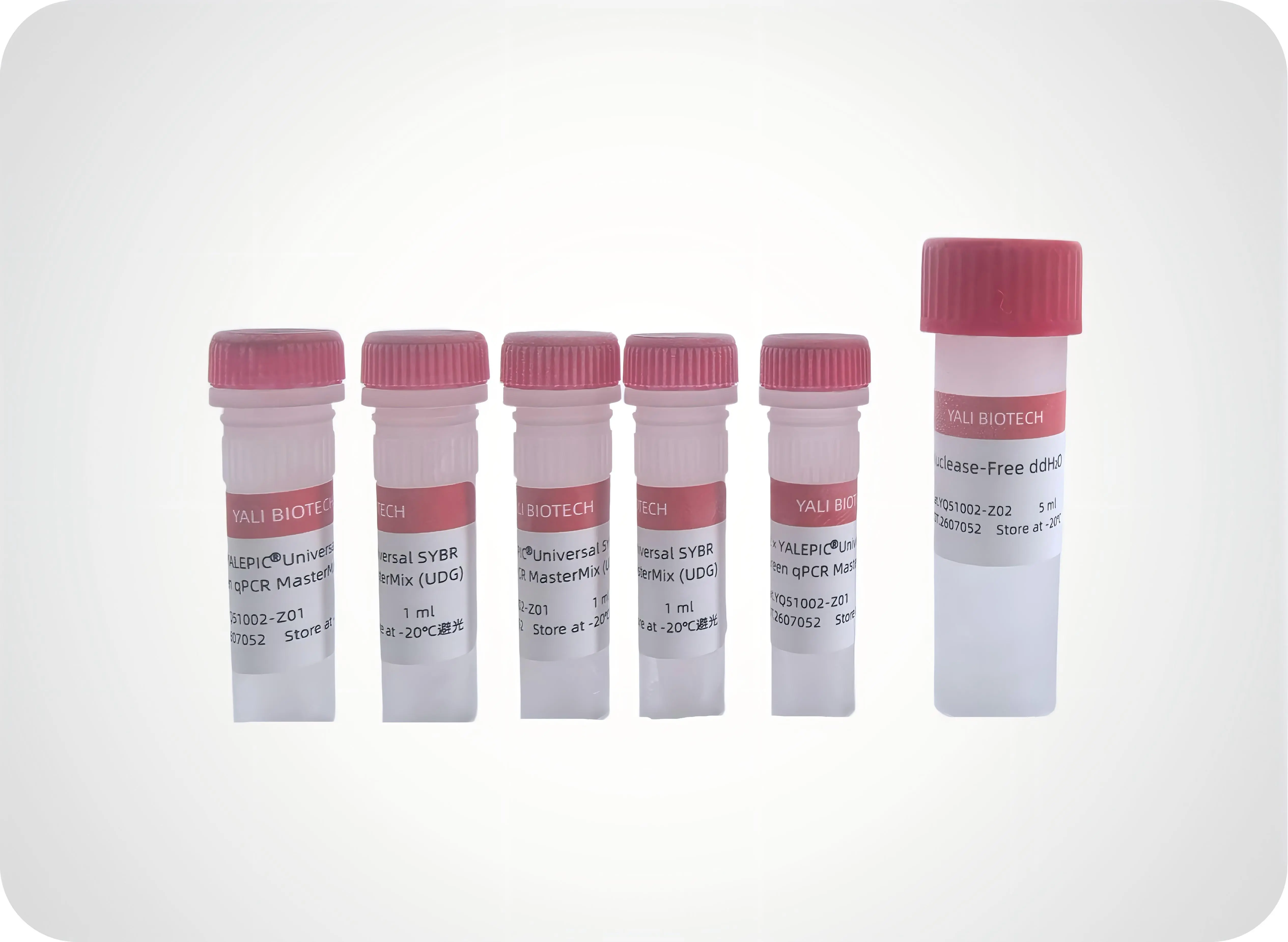 YQ51002 YALEPIC Universal SYBR Green qPCR MasterMix (UDG)