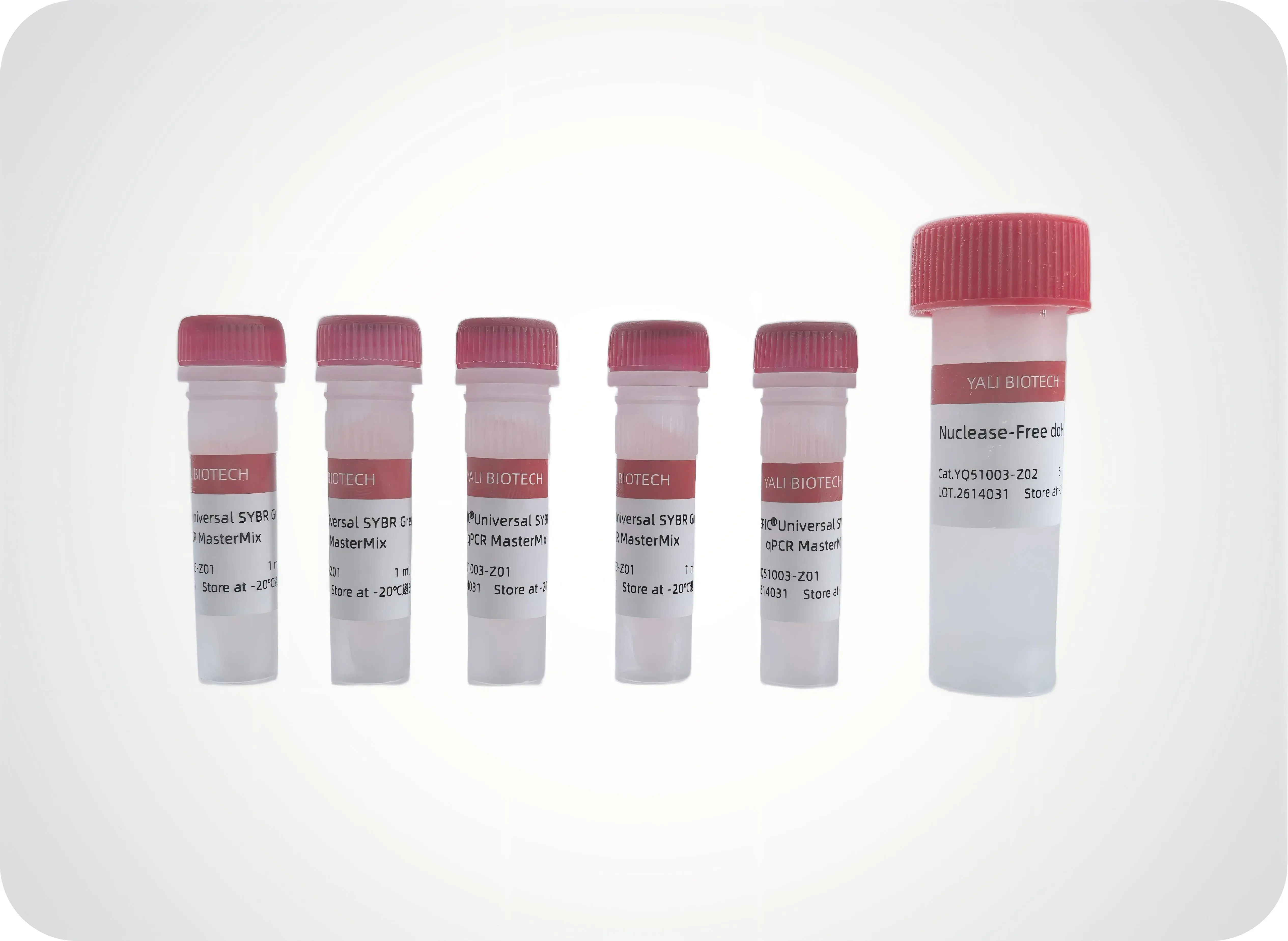 YALEPIC<sup>®</sup> Universal High-Sensitivity qPCR Master Mix (SYBR)