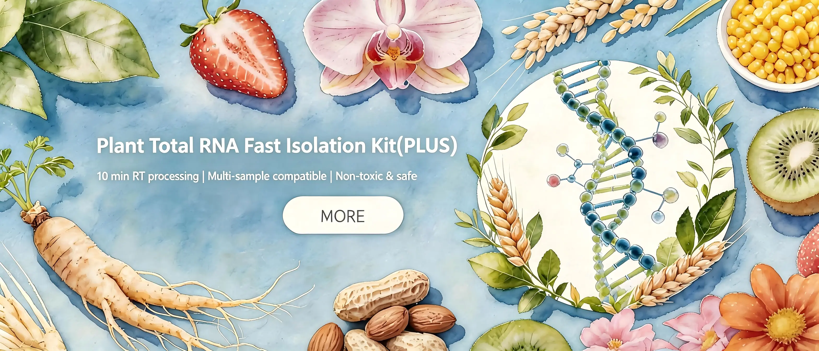 Plant Total RNA Fast isolation